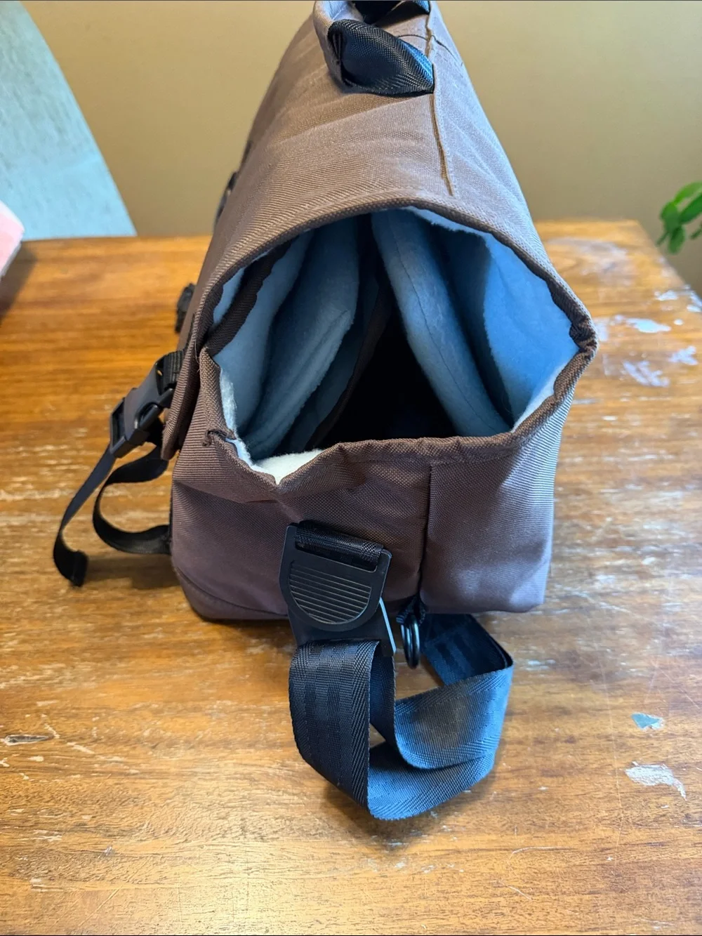 Kurgo Dog Seat/ Carrier